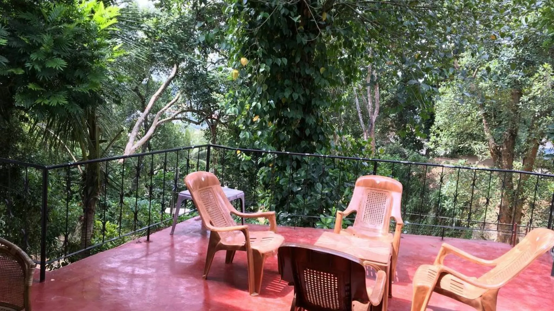 Kandy Shady Trees Villa Vendégház