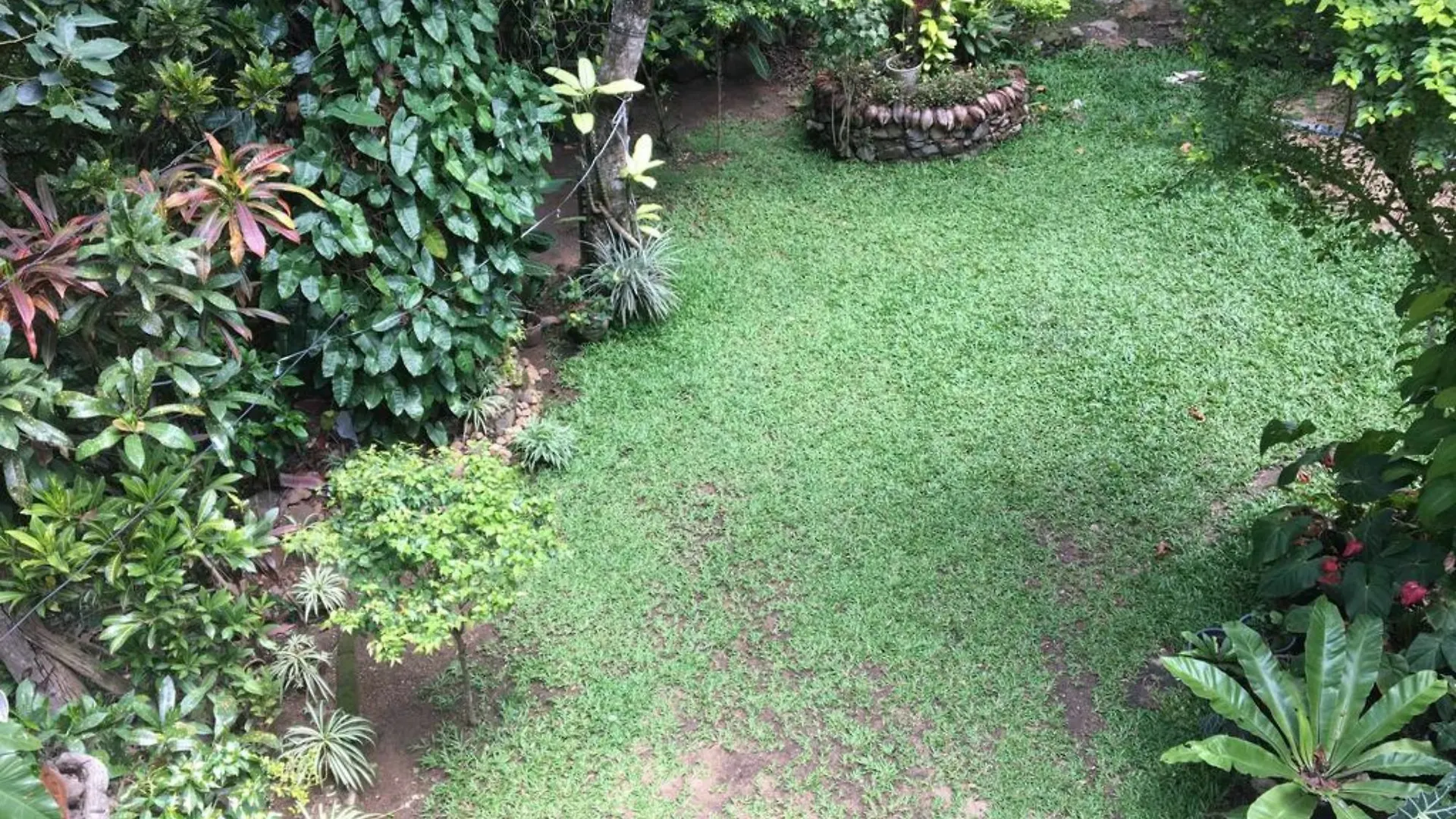 Vendégház Kandy Shady Trees Villa