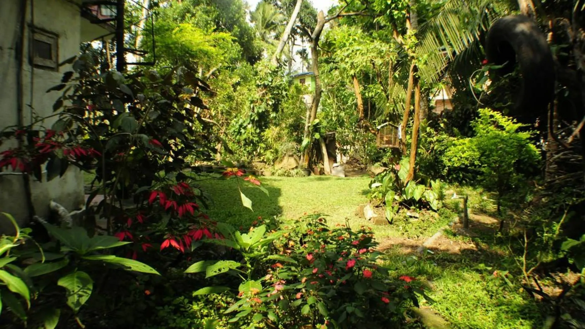 Vendégház Kandy Shady Trees Villa